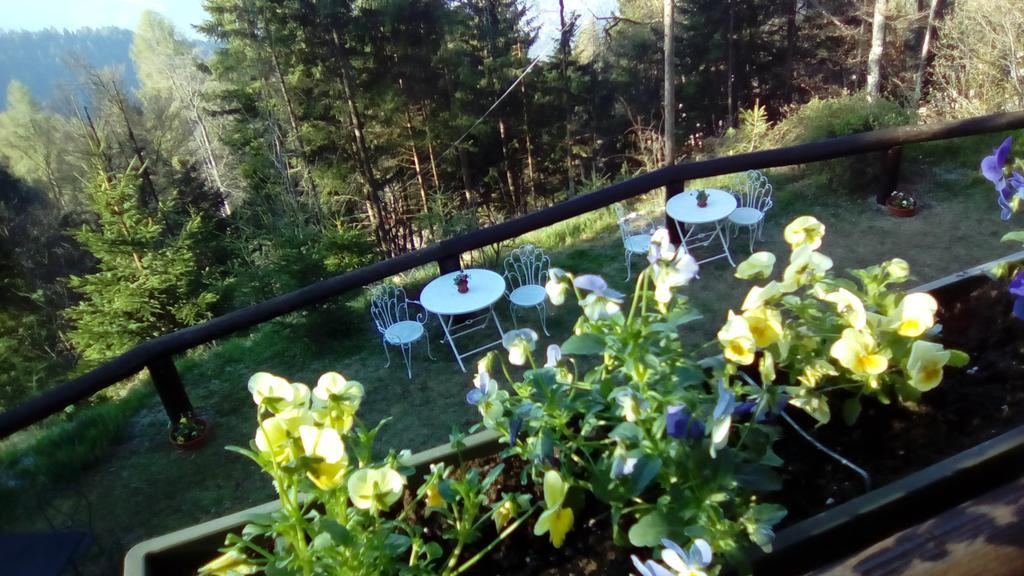 Abetina Daire Levico Terme Dış mekan fotoğraf