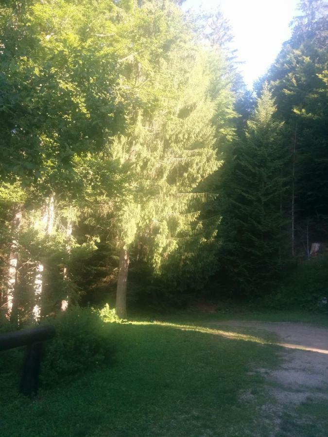 Abetina Daire Levico Terme Dış mekan fotoğraf