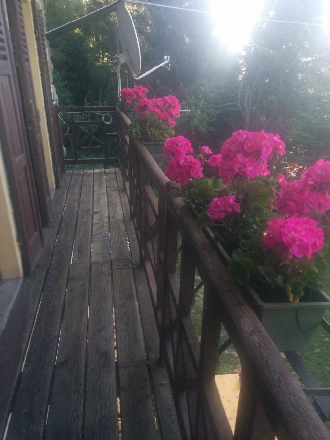 Abetina Daire Levico Terme Dış mekan fotoğraf